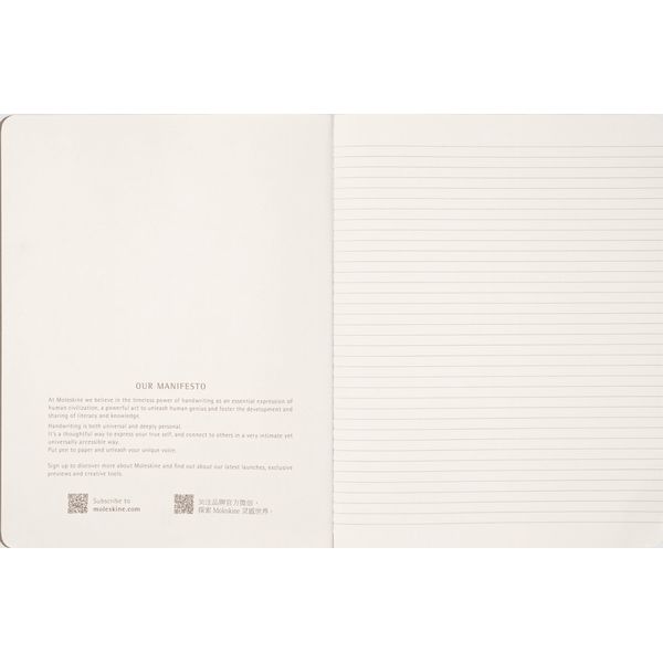 MOLESKINE - LE HARRY POTTER WINGARDIUM CAHIER XLARGE