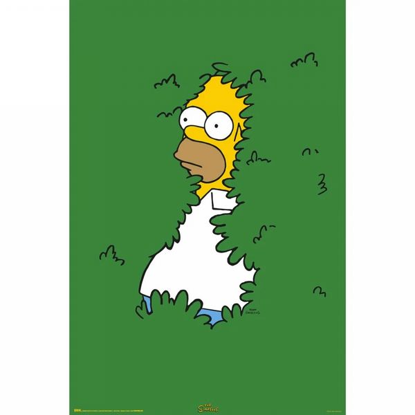 The Simpsons Hedge 61 x 91.5cm Maxi Poster