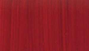 Jackson's: Artist Oil Colour: 225ml